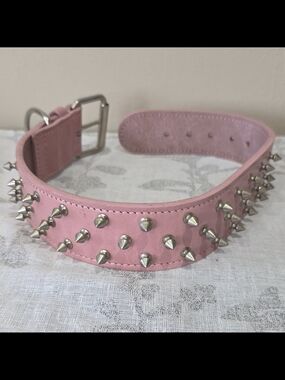 Spike Studded Dog Collar